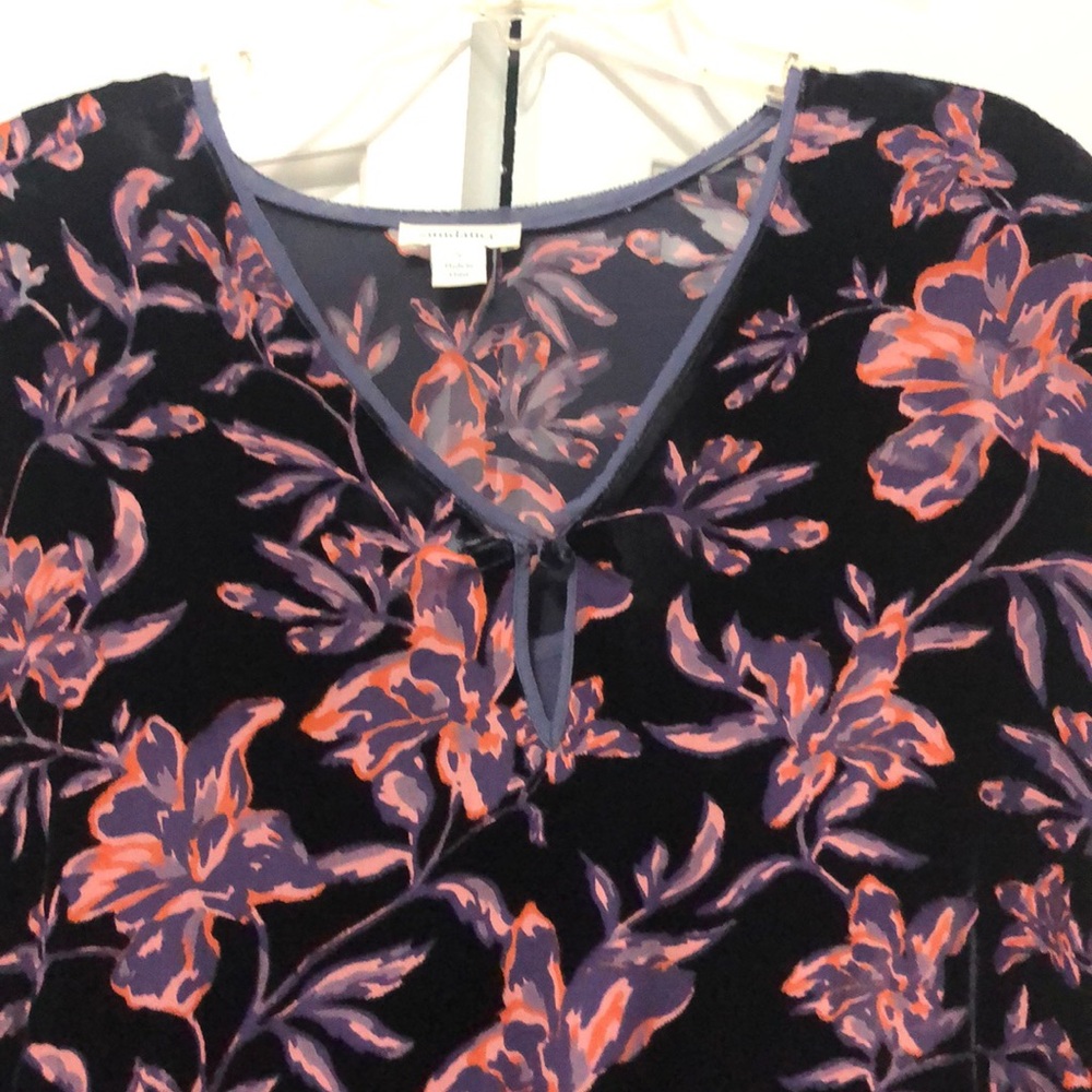 Sundance velvet top